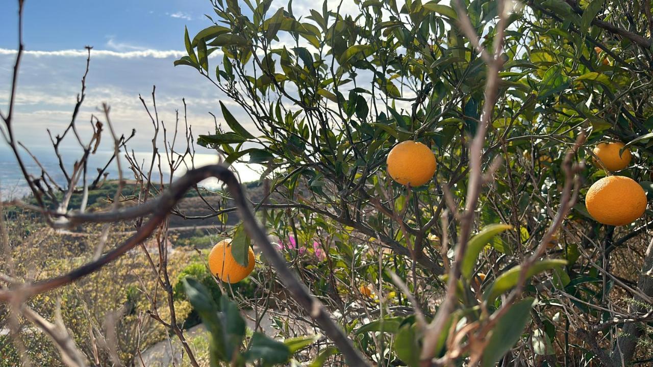 El Paraiso De Salobrena Bagian luar foto